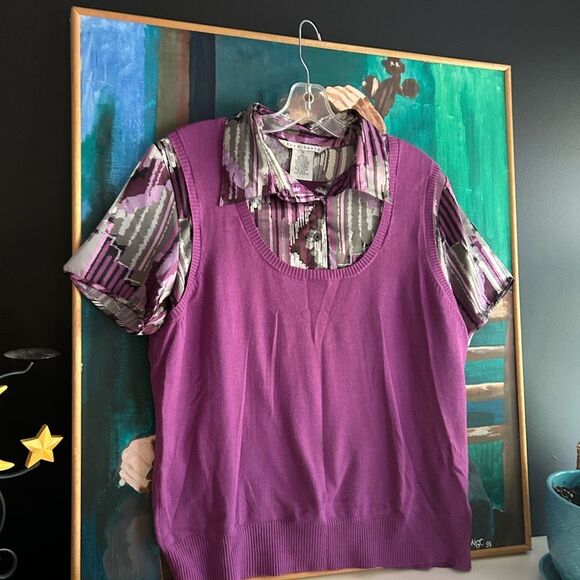 Fred David Sweater Top Womens Size XL Purple Multi Striped Layered Look Collared - Picture 4 of 14